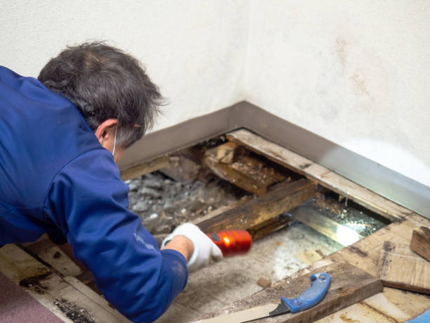 Best Water Damage Restoration  in Mercersburg, PA