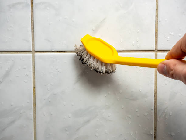 Best Residential Mold Removal  in Mercersburg, PA