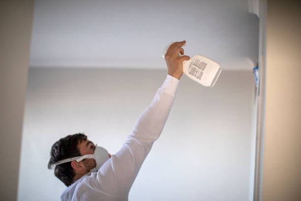 Best Best Mold Removal Companies  in Mercersburg, PA