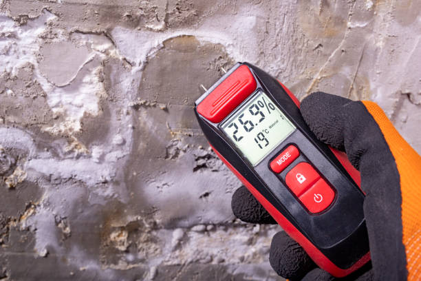 Attic Mold Removal in Mercersburg, PA