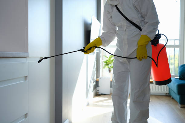 Best Office Mold Removal Services  in Mercersburg, PA
