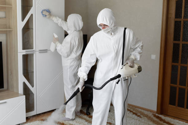 Best Attic Mold Removal  in Mercersburg, PA