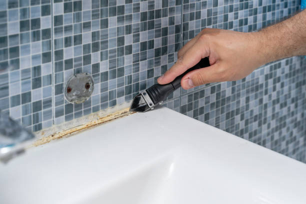 Best Commercial Mold Removal  in Mercersburg, PA