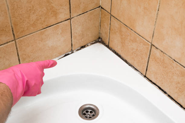 Best Certified Mold Removal  in Mercersburg, PA